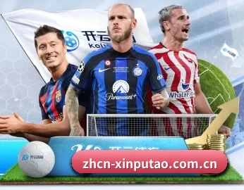 新葡萄娱乐 APP 深度功能
